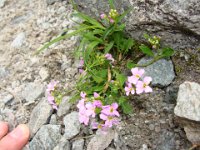 Tatry-2011 (57)